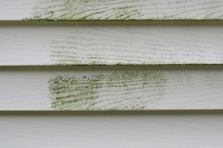 How to Remove Stains and Algae from Your Home's Siding